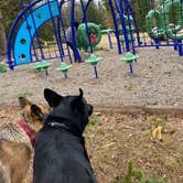 Review photo of Tall Chief Campground by Missy C., November 15, 2022