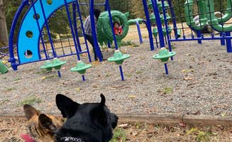 Missy C.'s photo of camping with pets at Tall Chief Campground near Redmond, WA