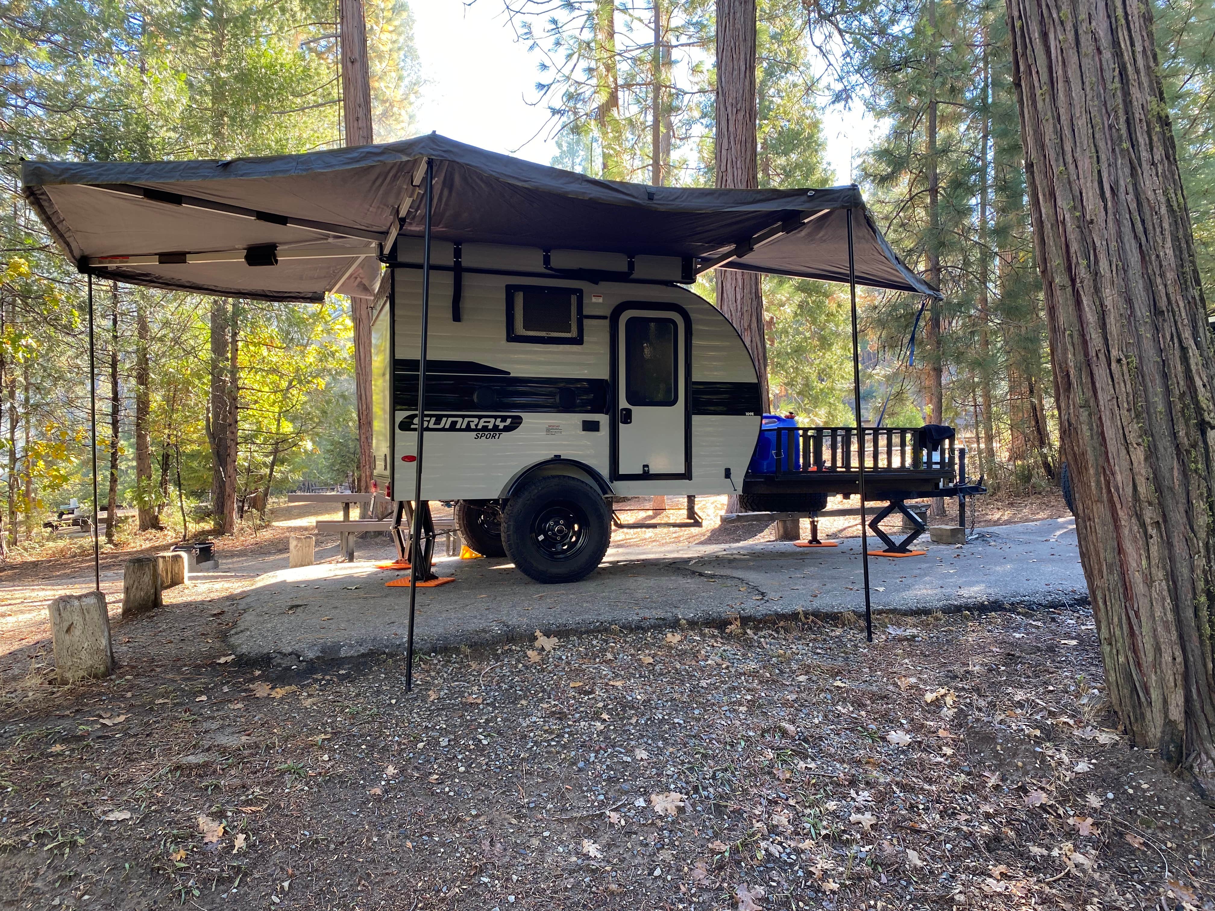 Joseph B.'s photo at Lupine near Oakhurst, CA