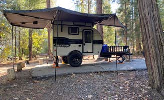 Joseph B.'s photo at Lupine near Bass Lake, CA