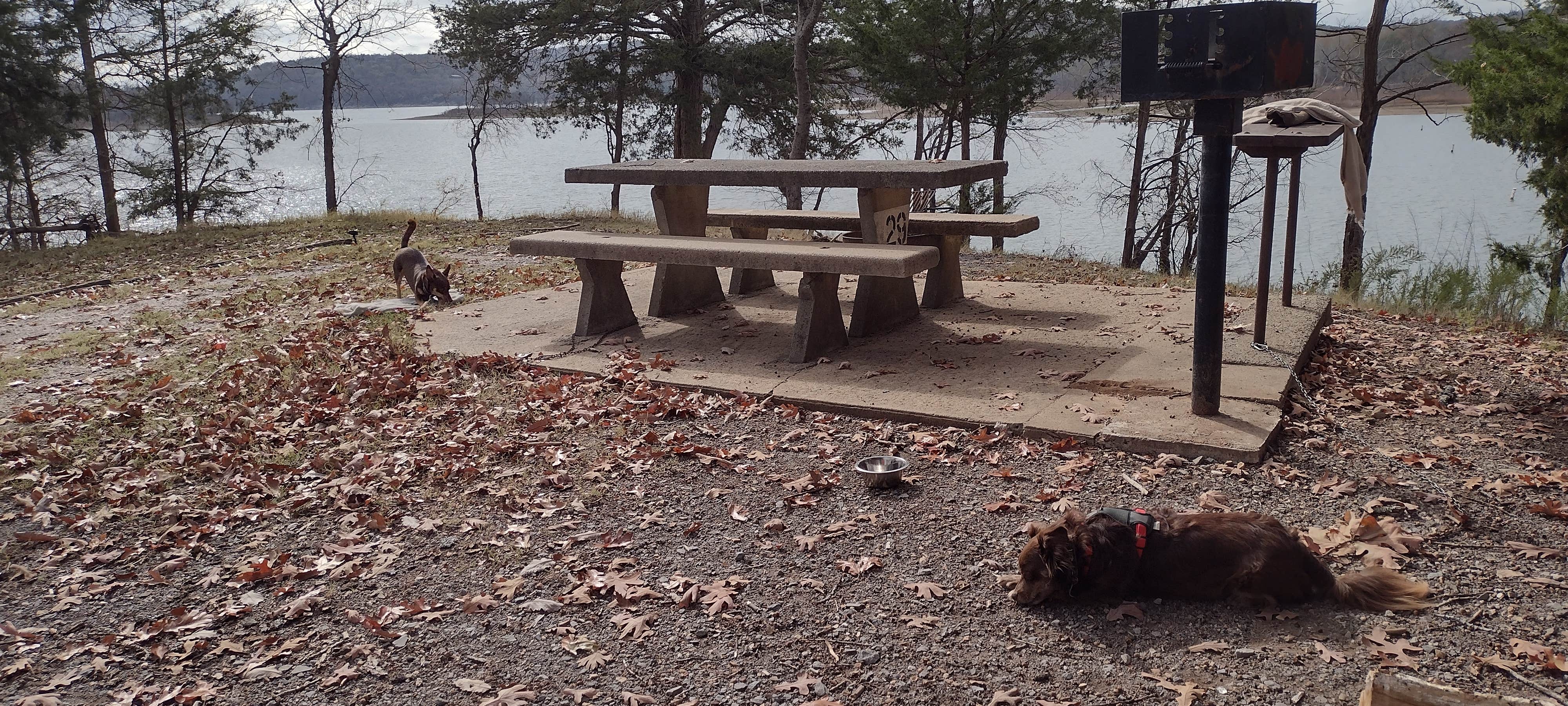 Camper-submitted photo at Petit Bay - Tenkiller Ferry Lake near Park Hill, OK