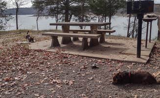 Donna H.'s photo of camping with pets at Petit Bay - Tenkiller Ferry Lake near Tahlequah, OK
