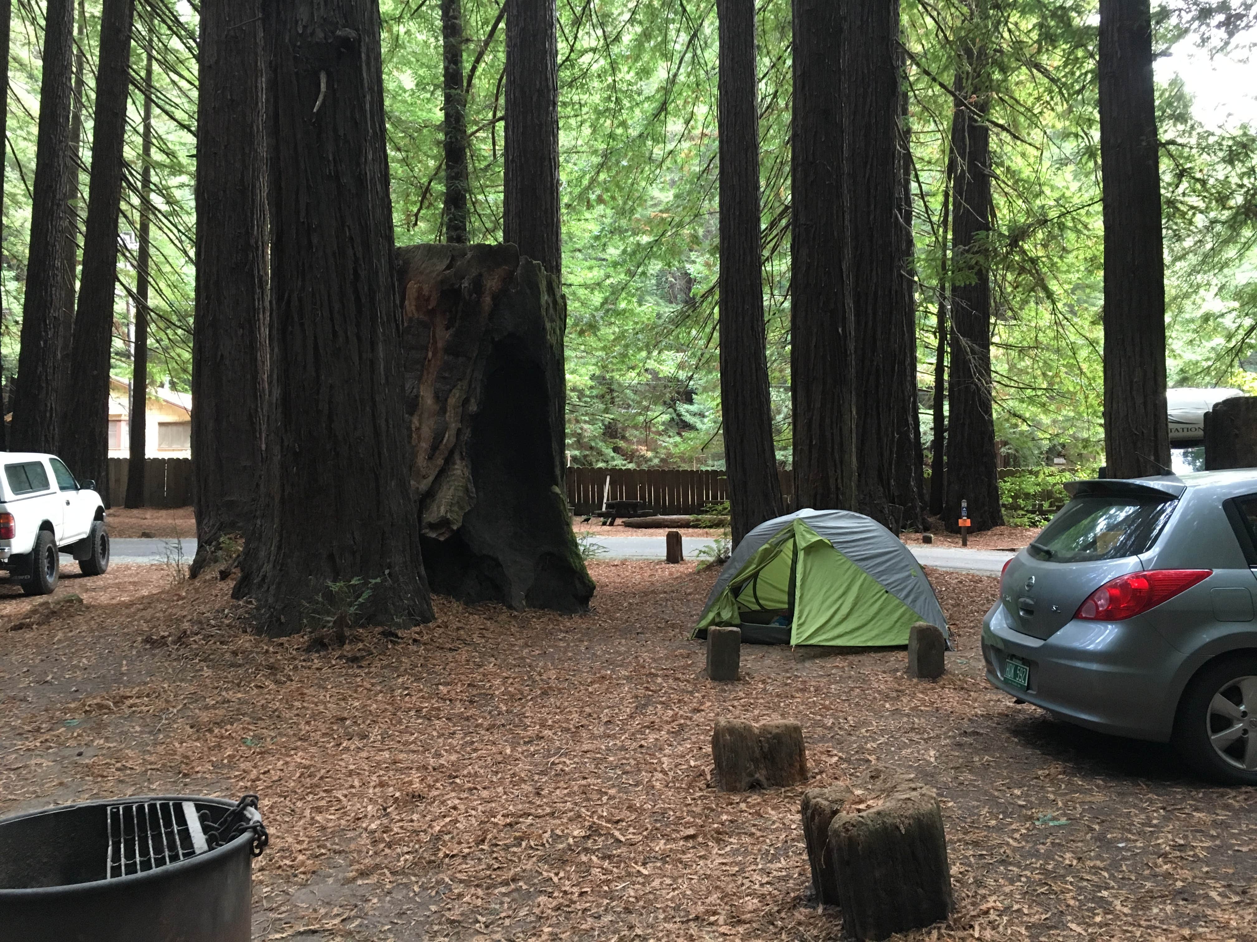 Camper-submitted photo at Hidden Springs Campground — Humboldt Redwoods State Park near Bridgeville, CA