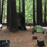 Review photo of Hidden Springs Campground — Humboldt Redwoods State Park by Kelsey M., September 17, 2018