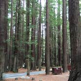 Review photo of Hidden Springs Campground — Humboldt Redwoods State Park by Kelsey M., September 17, 2018