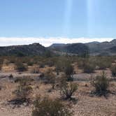 Review photo of Gunsight Wash BLM Dispersed camping area by Tamra J., November 15, 2022