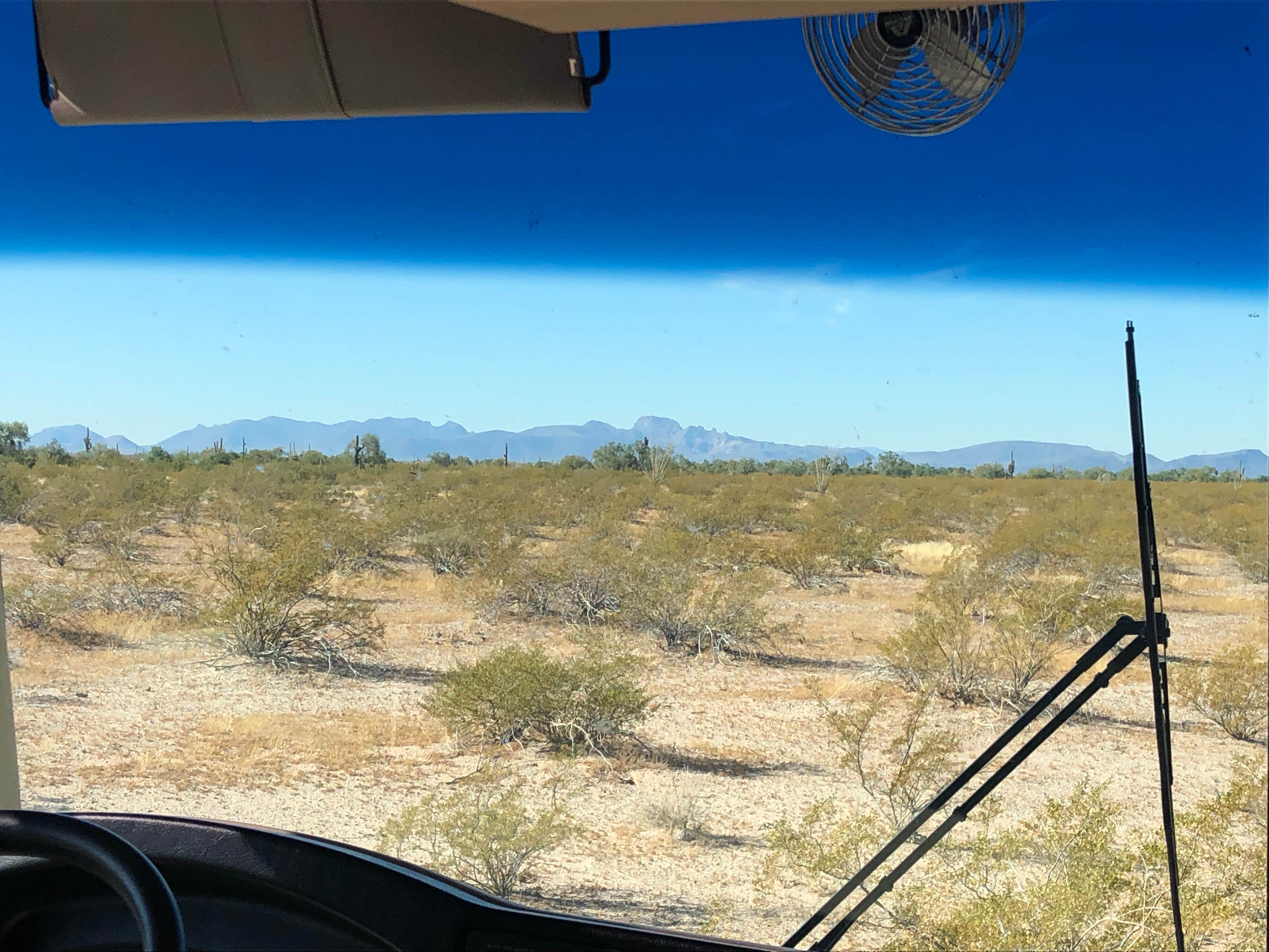 Tamra J.'s photo of a dispersed camping area at Gunsight Wash BLM Dispersed camping area near Lukeville, AZ