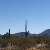 Review photo of Gunsight Wash BLM Dispersed camping area by Tamra J., November 15, 2022