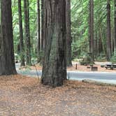 Review photo of Hidden Springs Campground — Humboldt Redwoods State Park by Kelsey M., September 17, 2018