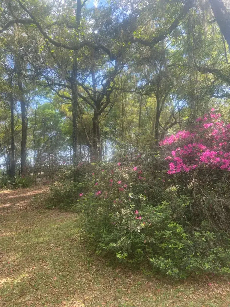 Camper-submitted photo at Camp Seminole Springs near Hawthorne, FL