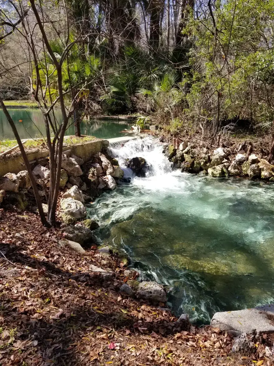 Camp Seminole Springs