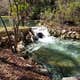 Camp Seminole Springs