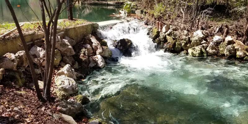 Camper submitted image from Camp Seminole Springs