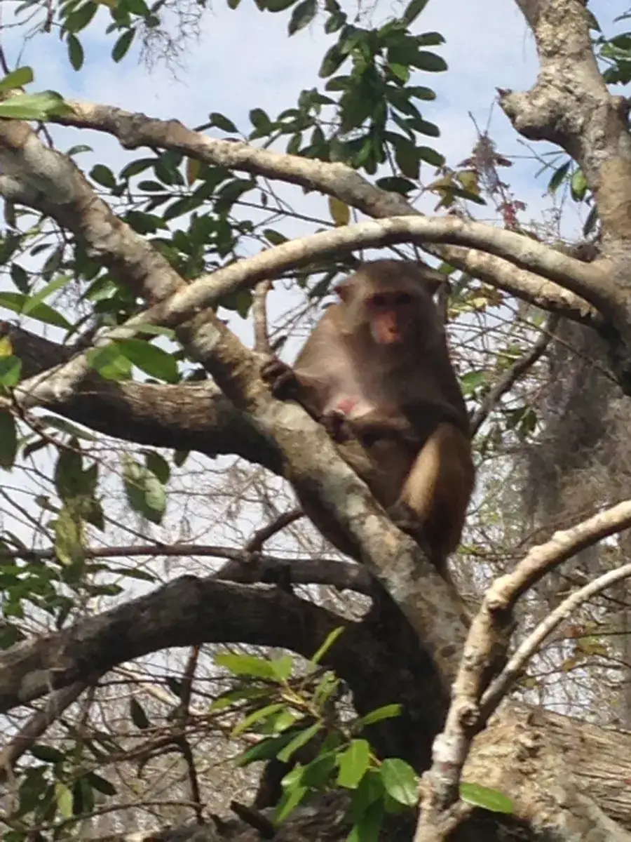 Camper-submitted photo at Camp Seminole Springs near Hawthorne, FL
