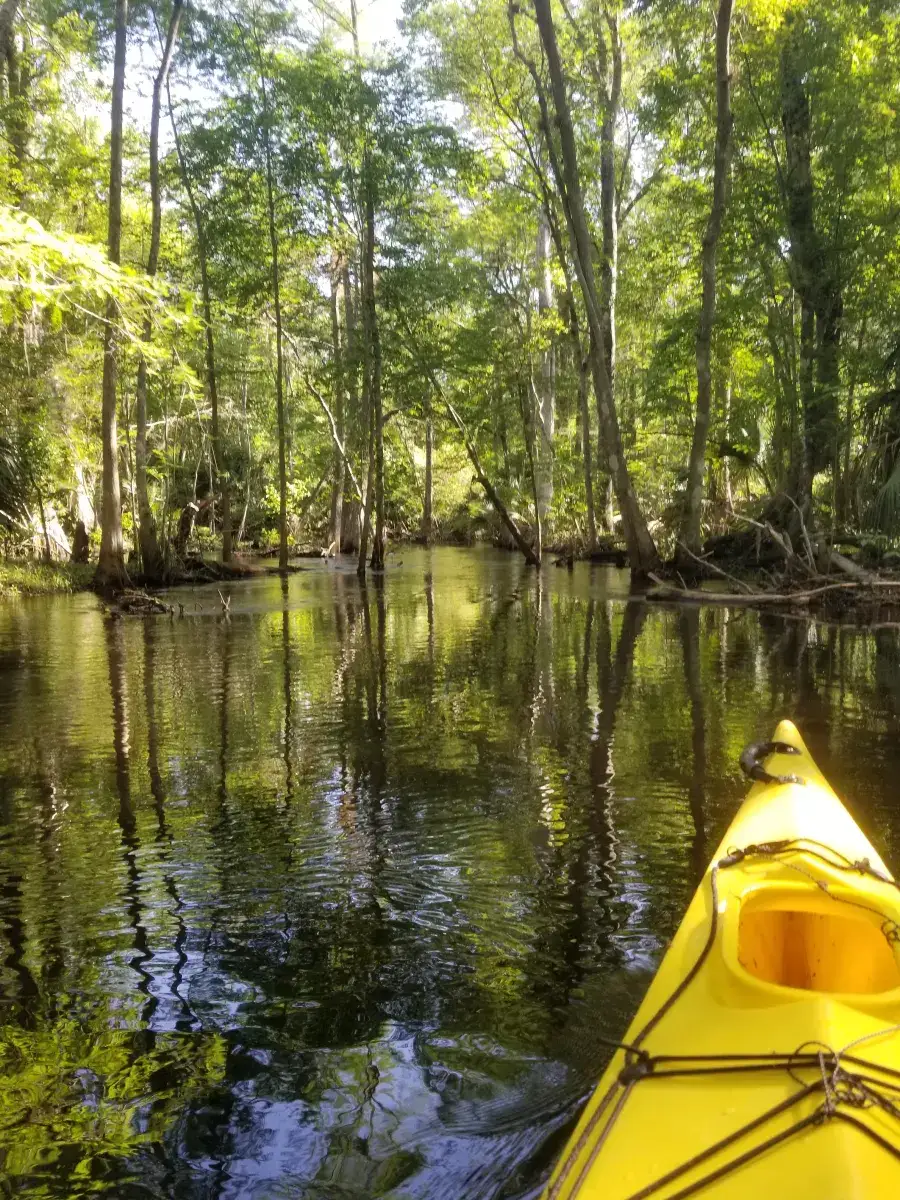 Camper-submitted photo at Camp Seminole Springs near Hawthorne, FL