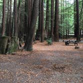 Review photo of Hidden Springs Campground — Humboldt Redwoods State Park by Kelsey M., September 17, 2018