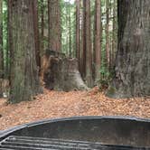 Review photo of Hidden Springs Campground — Humboldt Redwoods State Park by Kelsey M., September 17, 2018