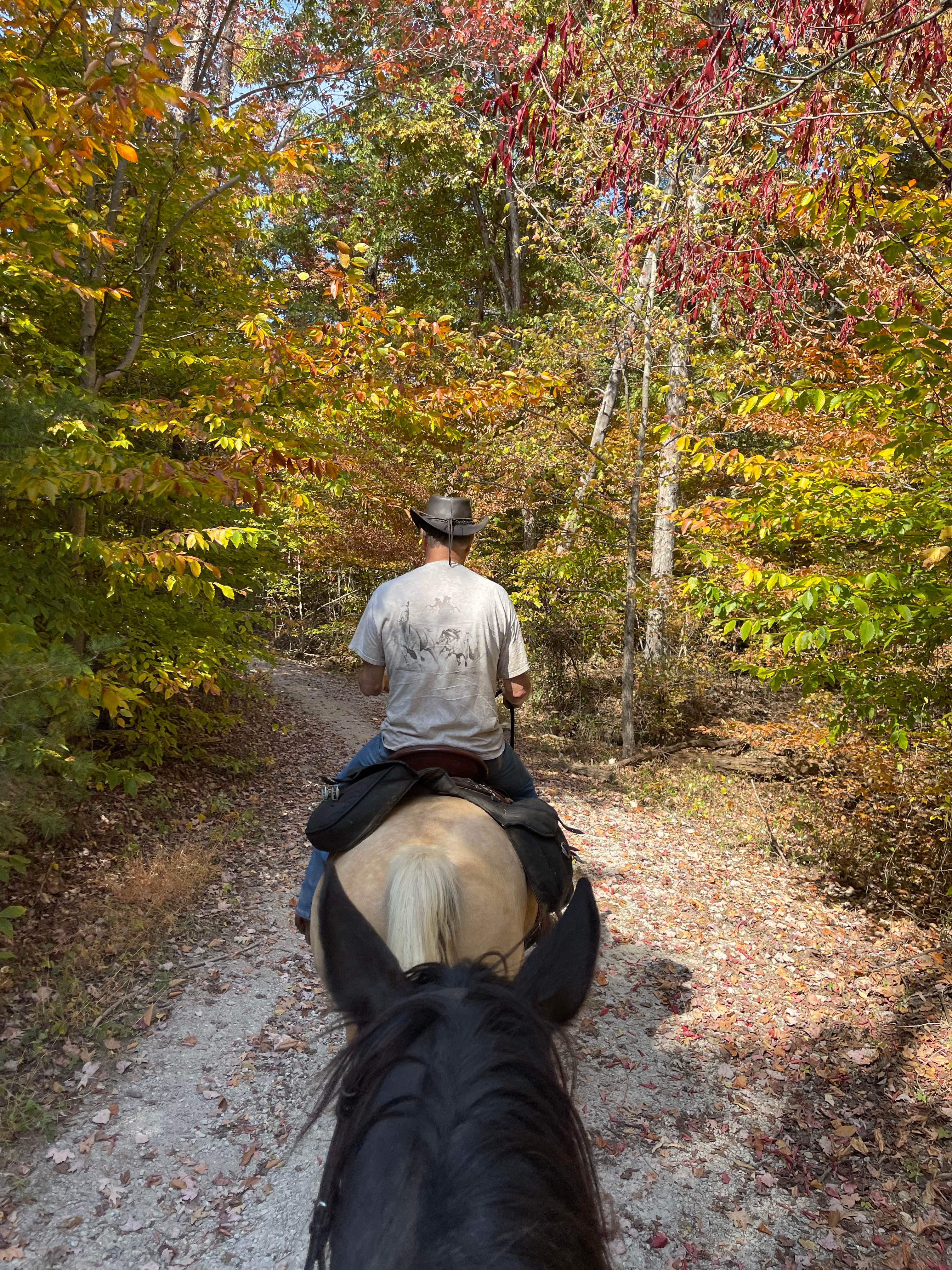 Deana A.'s photo of camping with a horse at Deam Lake State Recreation Area Campground near Prospect, KY