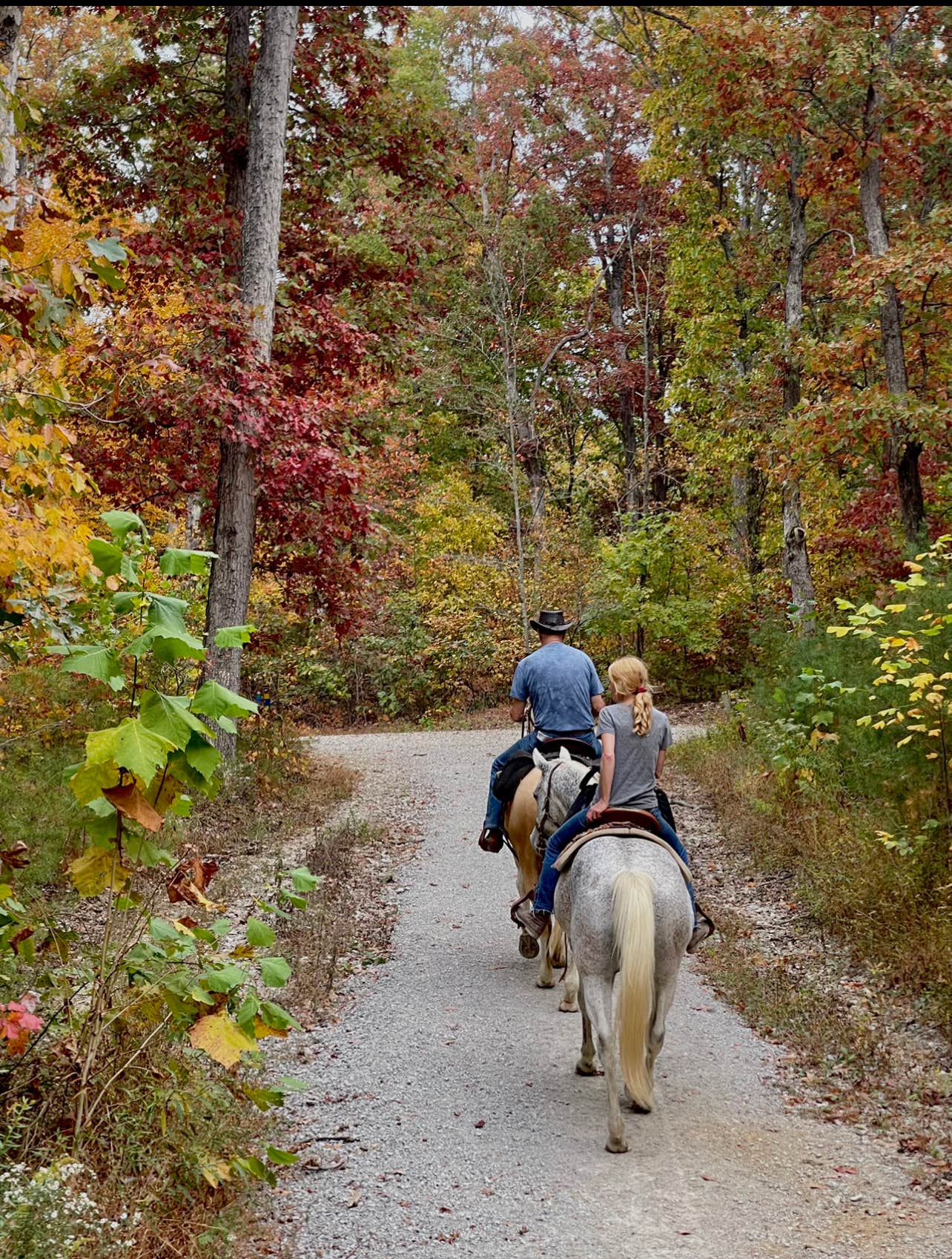 Deana A.'s photo of camping with a horse at Deam Lake State Recreation Area Campground near Deputy, IN