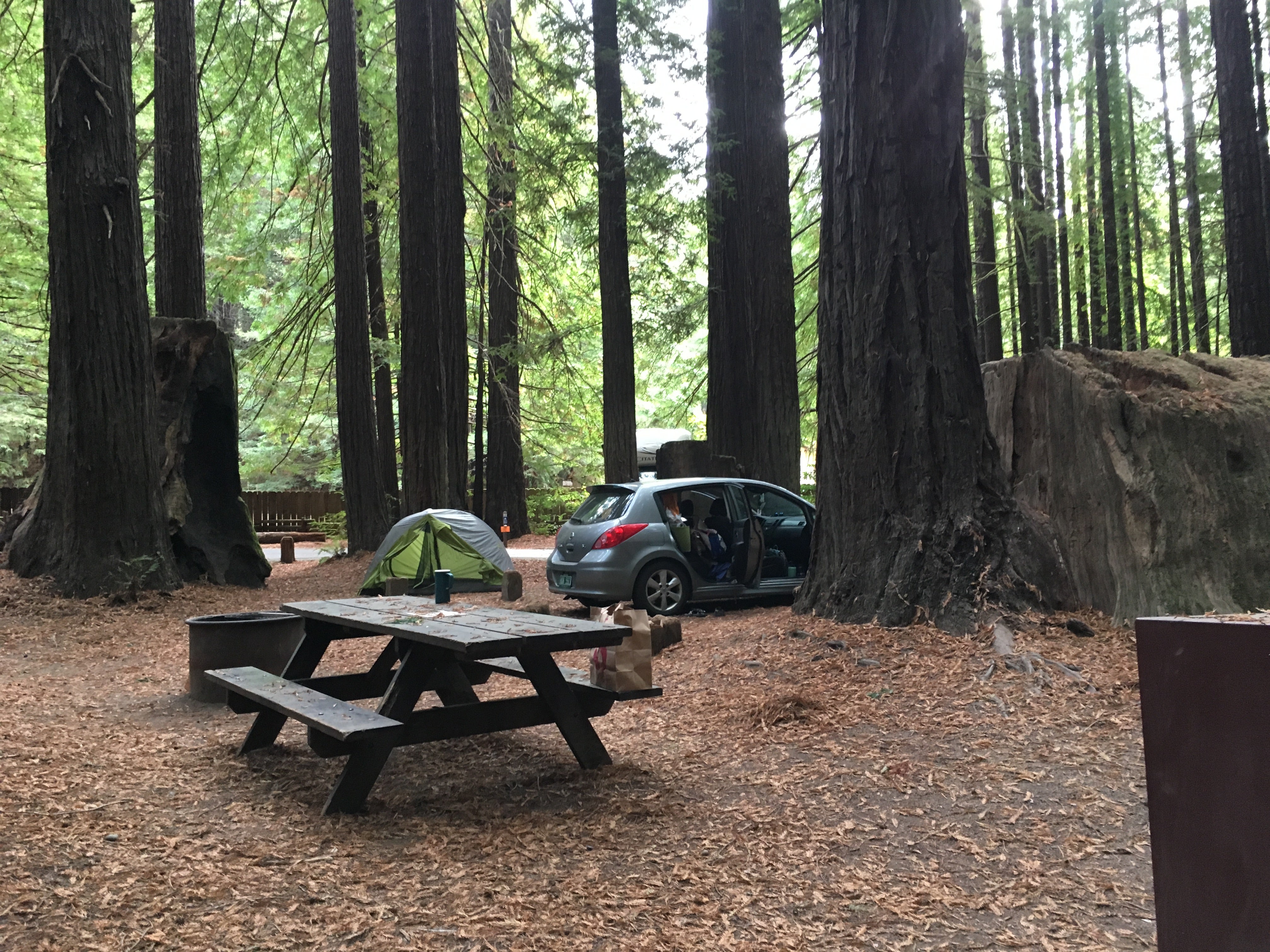 Camper submitted image from Burlington Campground — Humboldt Redwoods State Park - 4