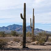 Review photo of Road Runner BLM Dispersed Camping Area by Greg L., November 15, 2022