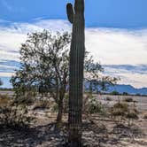 Review photo of Road Runner BLM Dispersed Camping Area by Greg L., November 15, 2022