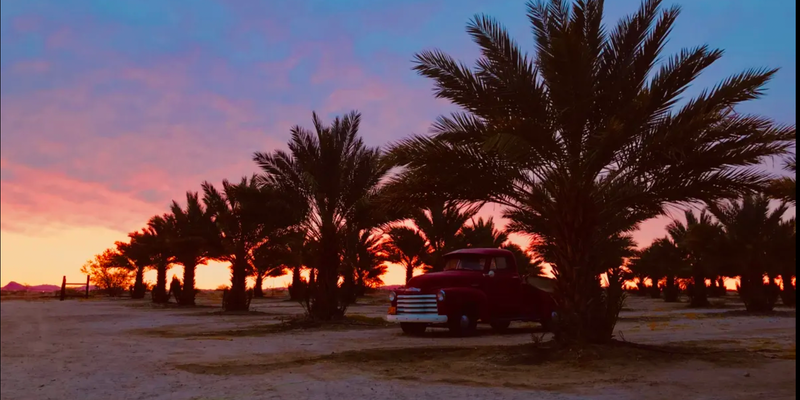 Camper submitted image from Organic Date Farm