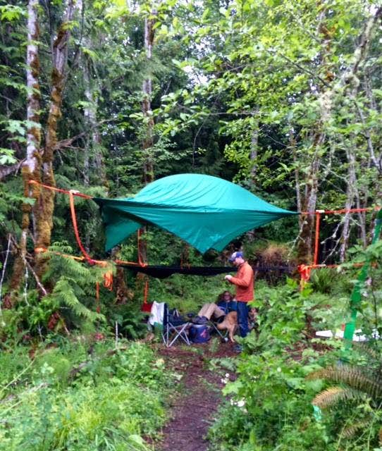 Camper-submitted photo at Elwha Dam RV Park near Joyce, WA