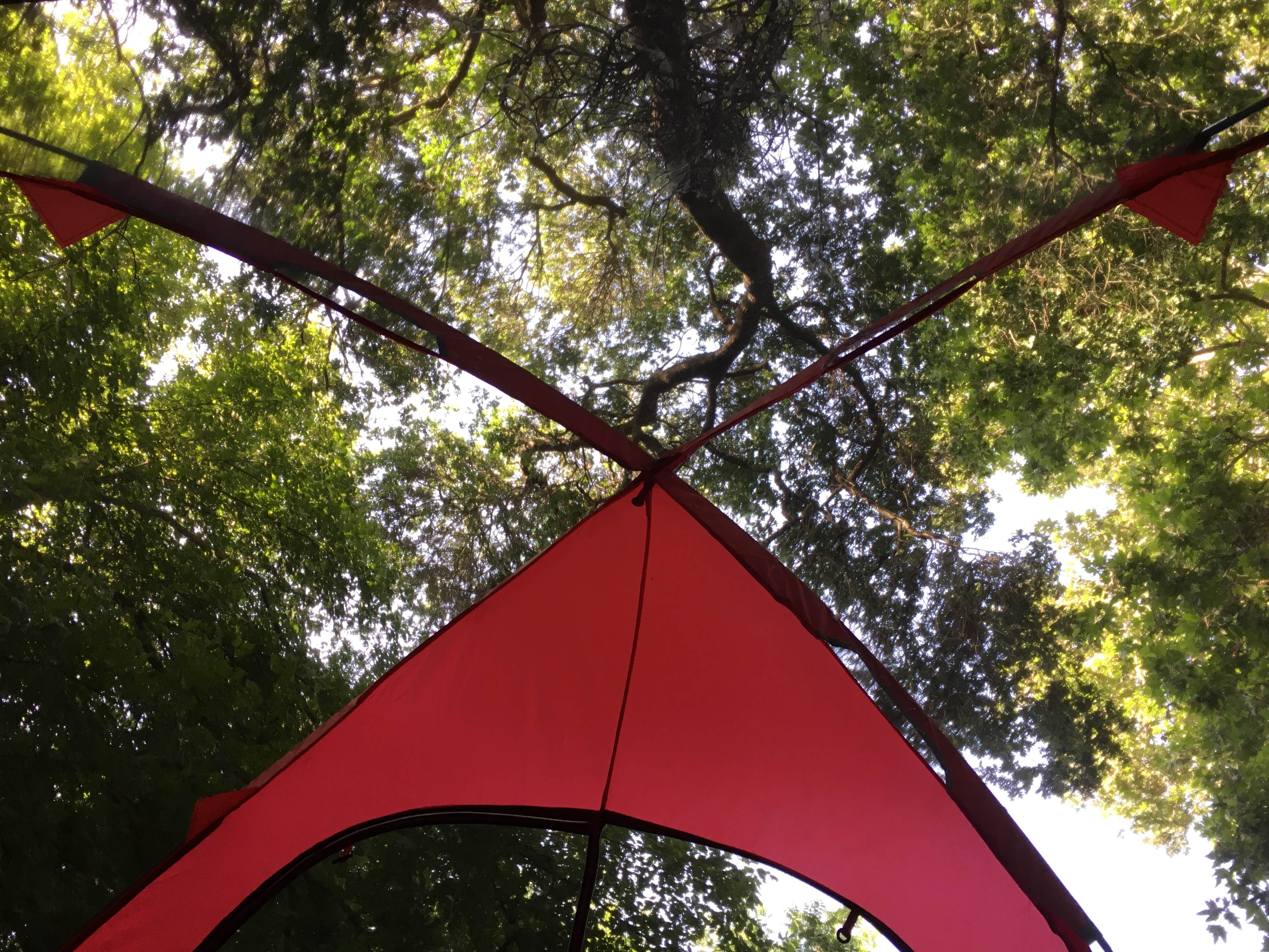 Barbara B.'s photo at Caswell Memorial State Park Campground near Patterson, CA