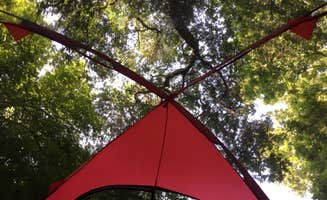 Barbara B.'s photo at Caswell Memorial State Park Campground near Oakley, CA