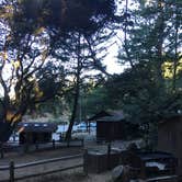 Review photo of Pantoll Campground — Mount Tamalpais State Park by Kelsey M., September 17, 2018