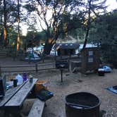 Review photo of Pantoll Campground — Mount Tamalpais State Park by Kelsey M., September 17, 2018