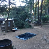Review photo of Pantoll Campground — Mount Tamalpais State Park by Kelsey M., September 17, 2018