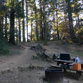 Review photo of Pantoll Campground — Mount Tamalpais State Park by Kelsey M., September 17, 2018