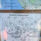 Review photo of Pantoll Campground — Mount Tamalpais State Park by Kelsey M., September 17, 2018