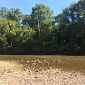 Review photo of Pulltite Campground — Ozark National Scenic Riverway by Shona H., September 17, 2018