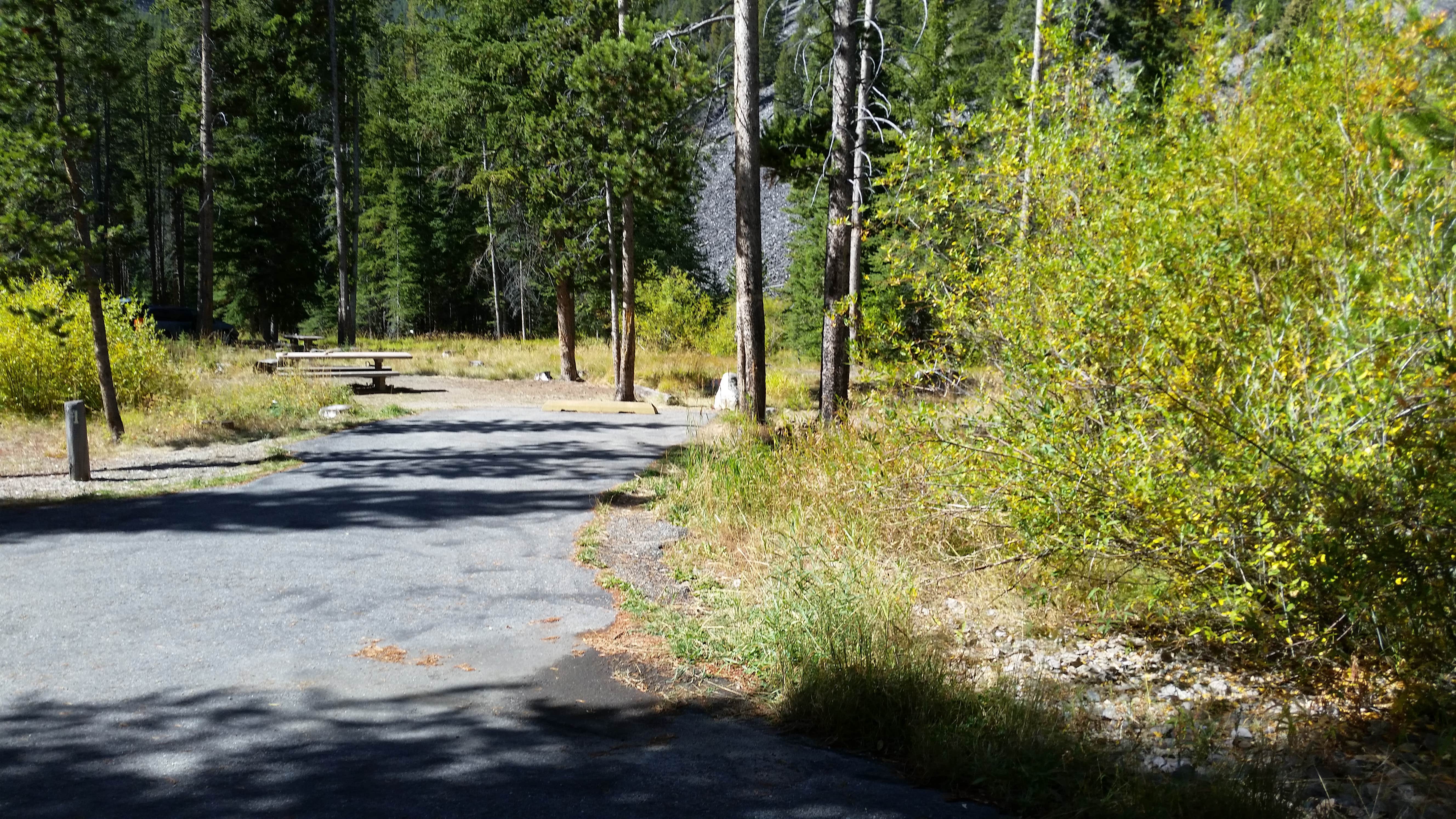 Escape to Serenity: Your Guide to Montana's Willow Campground