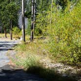 Review photo of Willow Campground by Dexter I., September 17, 2018