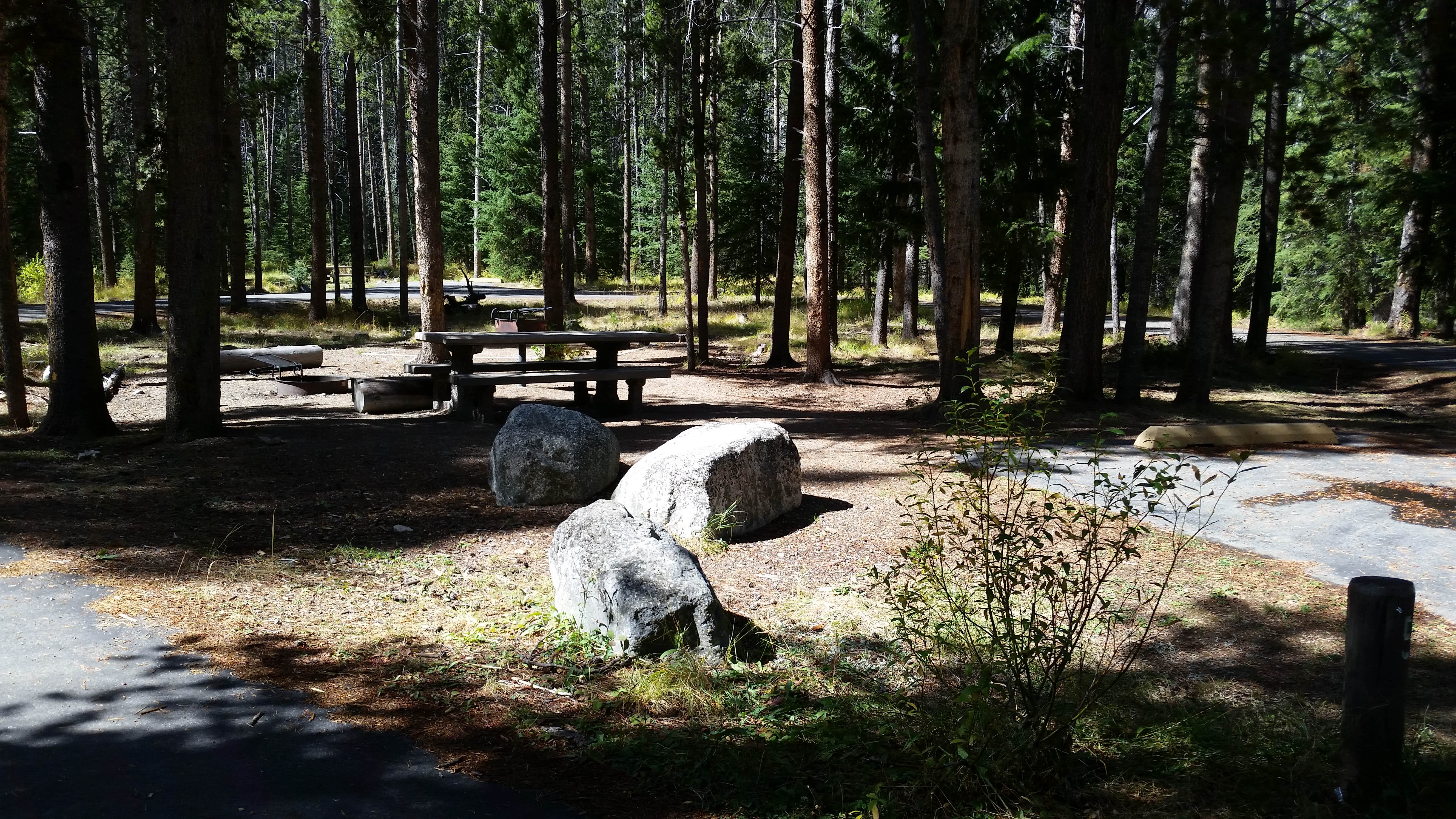 Camper-submitted photo at Willow Campground near Wisdom, MT