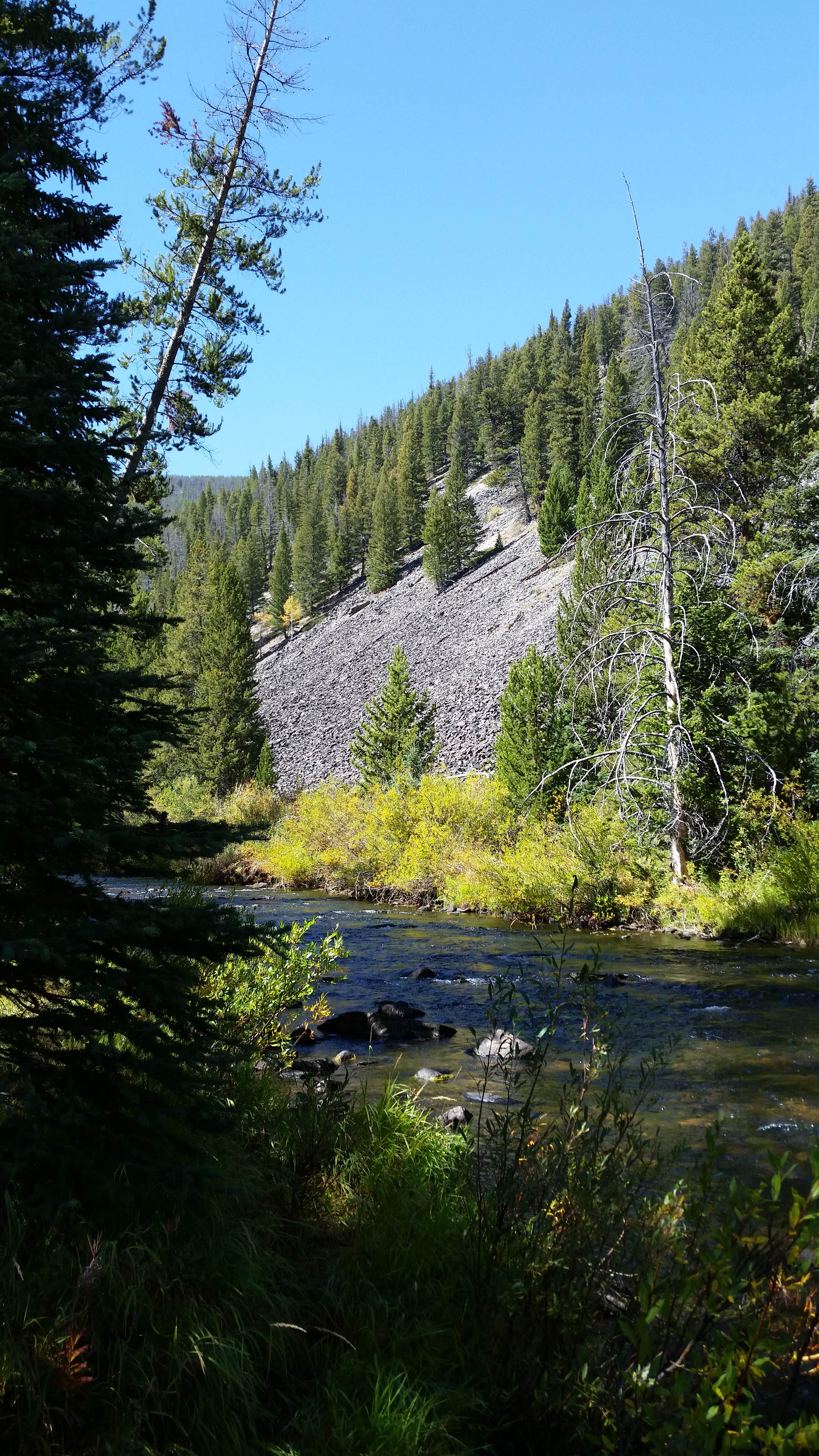 Camper-submitted photo at Willow Campground near Wisdom, MT