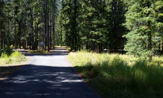 Camping near Lodgepole Campground: Willow Campground, Wise River, Montana