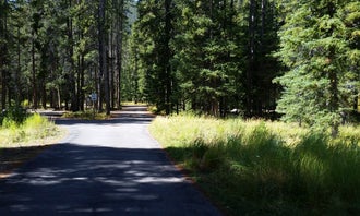 Camping near Grasshopper Campground and Picnic Area: Willow Campground, Wise River, Montana