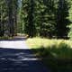 Willow Campground