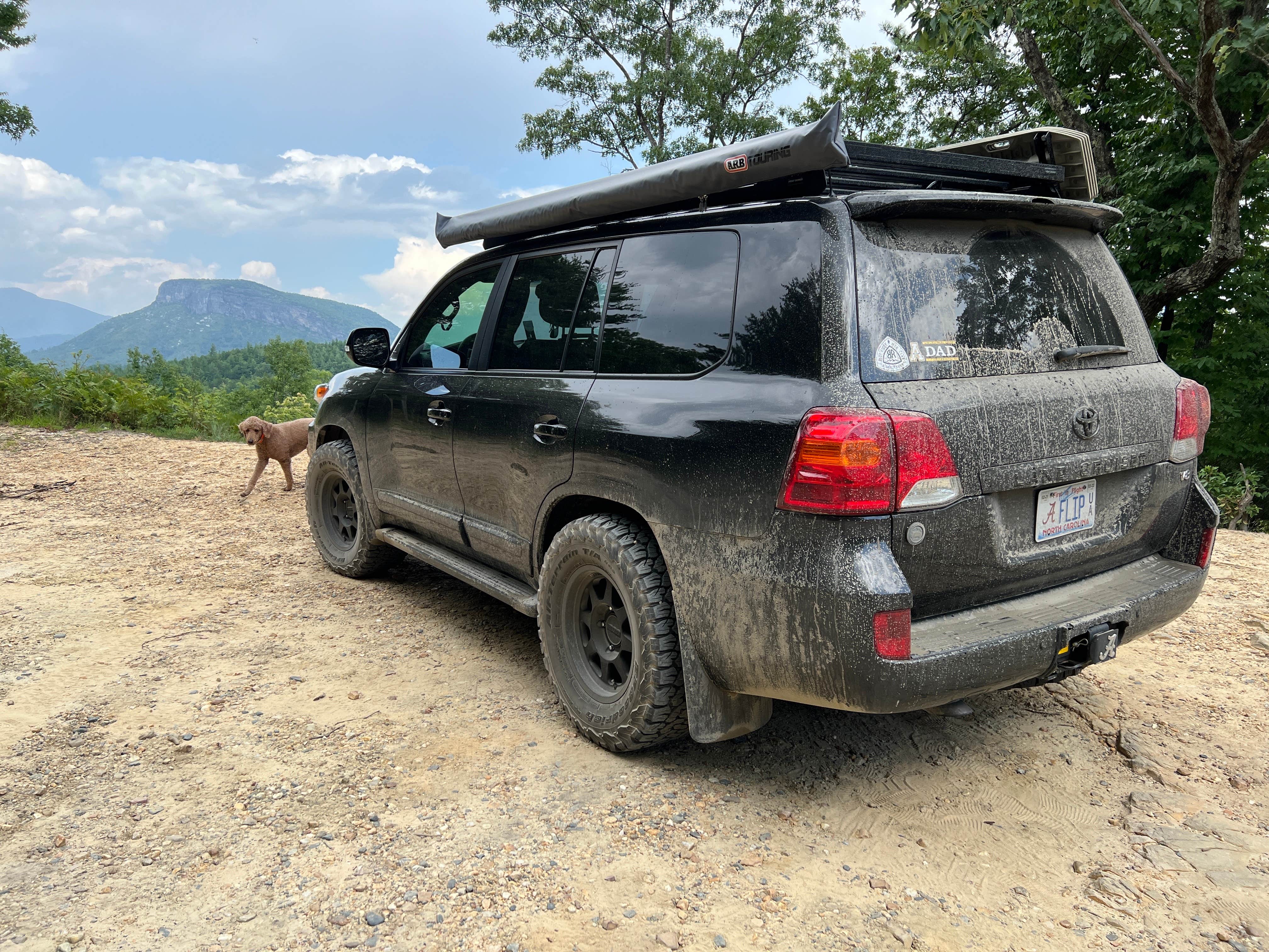 Phillip C.'s photo of camping with pets at Old NC 105 - Dispersed Camping near Bakersville, NC