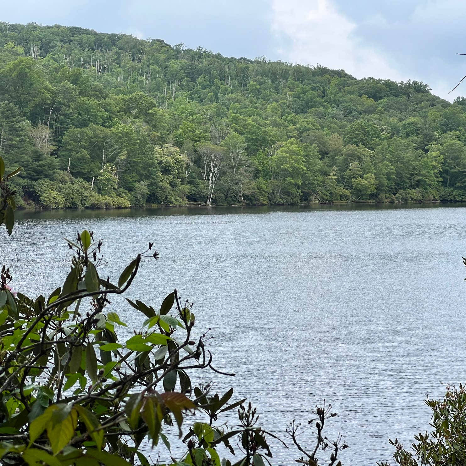 Julian Price Park Campground — Blue Ridge Parkway Blowing Rock, NC