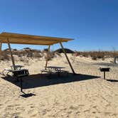 Review photo of Monahans Sandhills State Park Campground by Lee D., November 16, 2022