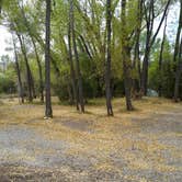 Review photo of Road Agent Campground — Bannack State Park by Dexter I., September 17, 2018