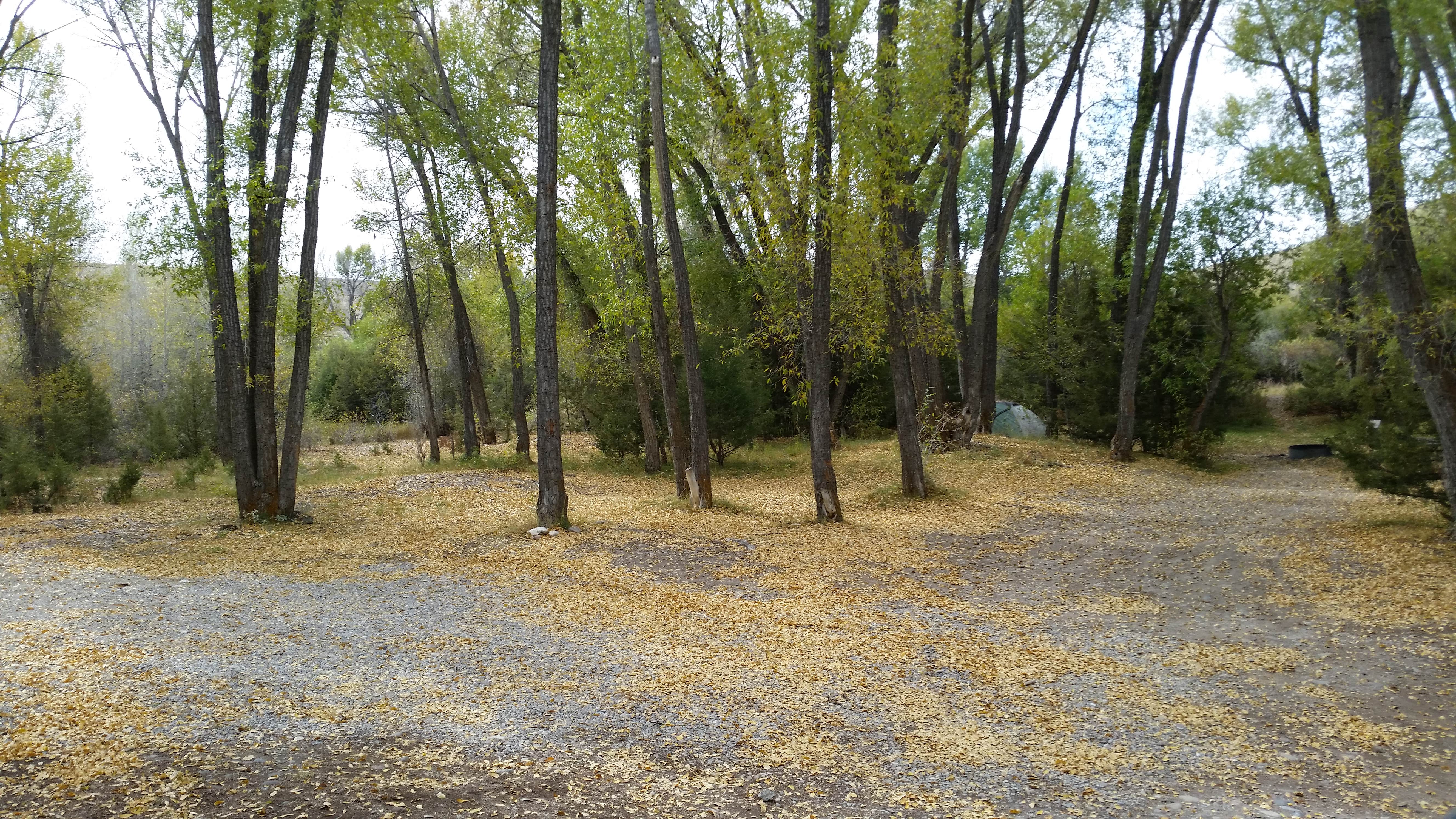 Camper submitted image from Road Agent Campground — Bannack State Park - 4