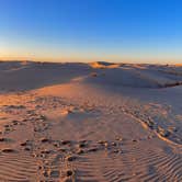 Review photo of Monahans Sandhills State Park Campground by Lee D., November 16, 2022