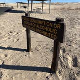 Review photo of Monahans Sandhills State Park Campground by Lee D., November 16, 2022